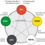 les cinq éléments en MTC