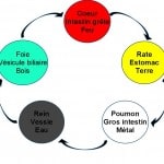 cycle elements