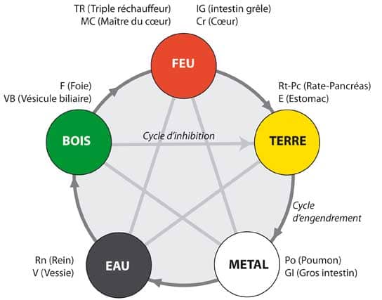 les cinq éléments en MTC