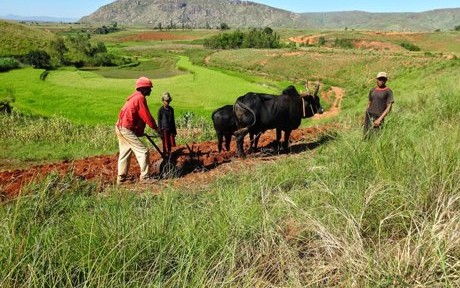 Madagascar : des sans-abris retrouvent leur dignité