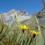 Copie de Copie de Ittinérant Ubaye-Italie début sep 2014 128