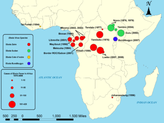 Ebola : ne cédons ni à la panique ni à la démagogie !