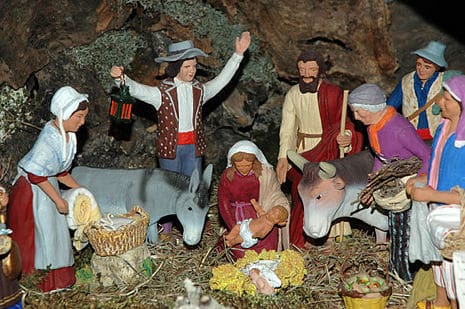 faire germer du ble une tradition de noel en provence