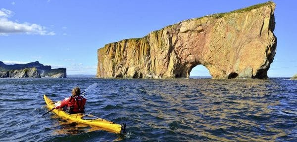 Et si la protection de votre cerveau rimait avec celui de notre environnement…