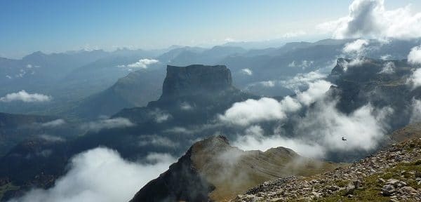 Stimuler nos défenses naturelles aux âges de la vie  (L’adulte)