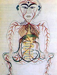 Dépressions, schizophénie, troubles neuropsychiques…: signes d’intoxication intestinale chronique