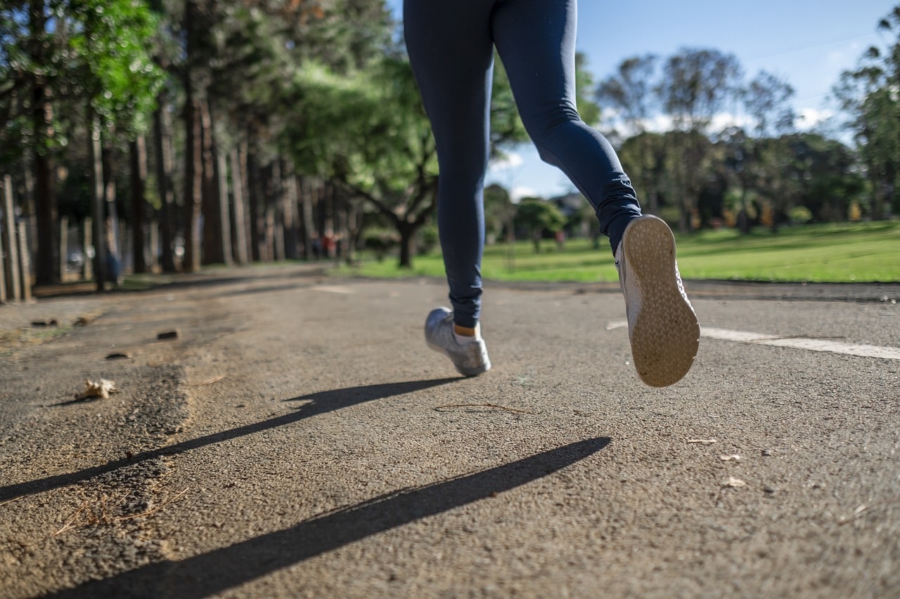 Jambes lourdes : en France, un Pycnogénol de très haute qualité