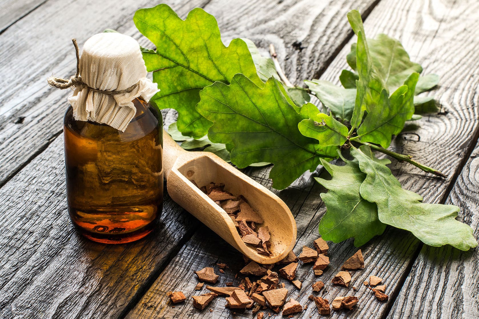 plantesmedicinalesproduitphytotherapie[1]  ActeurNature.com