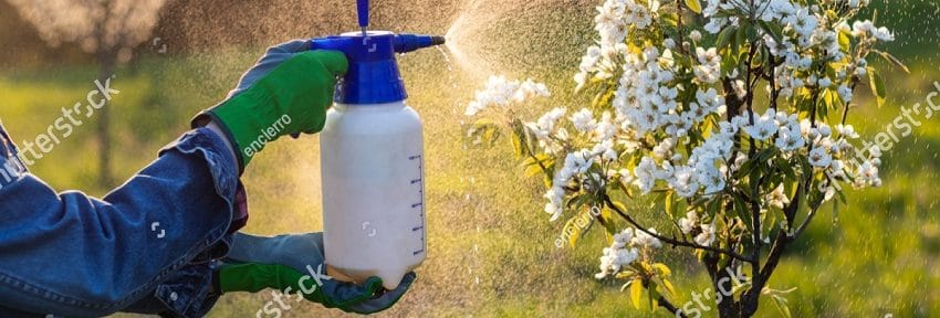 Le crime des pesticides est parfait: le scandale est là !