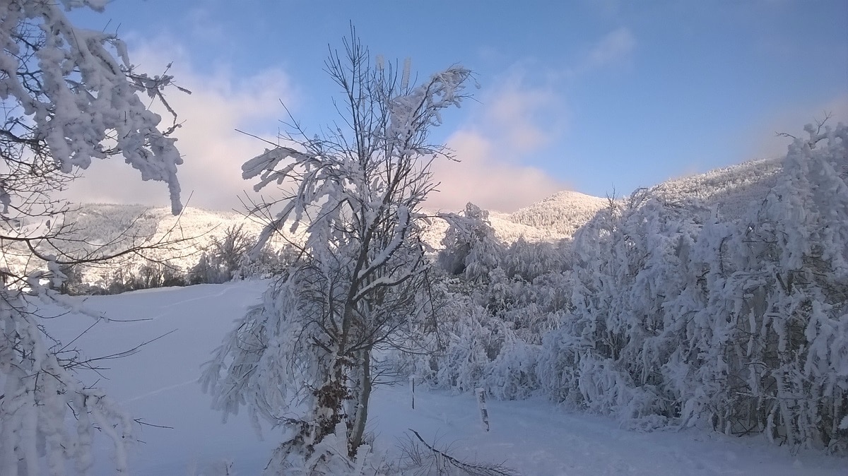 Pourquoi en hiver faut-il penser à se supplémenter en zinc?