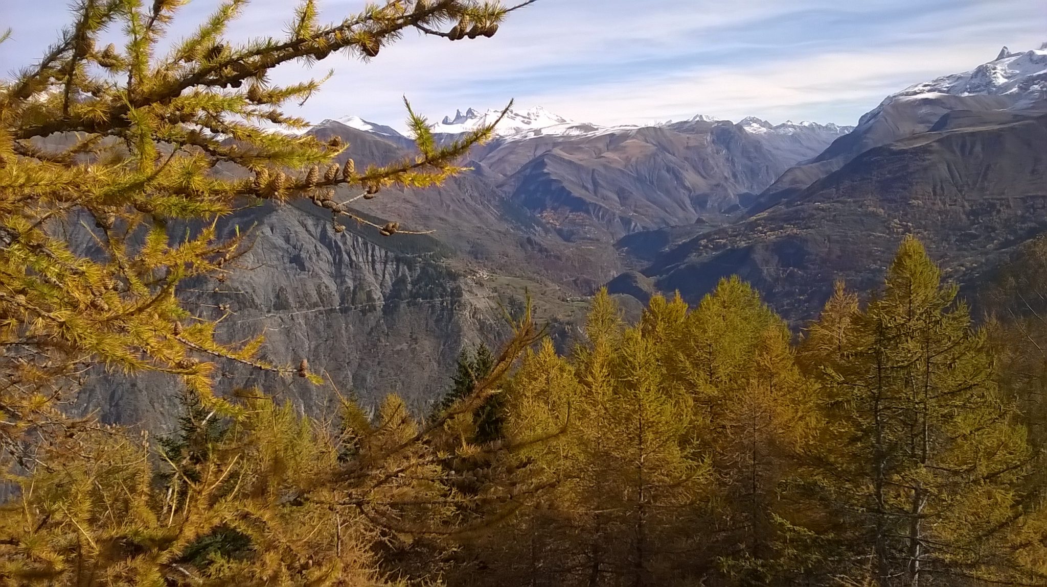 Amoureux de la nature confiné