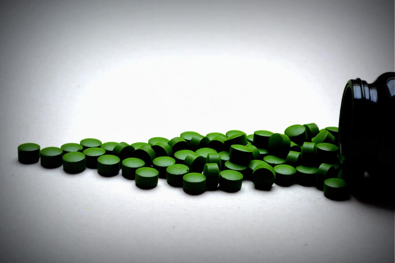 La chlorella serait-elle une alternative possible à  l’encontre de la fibromyalgie ?