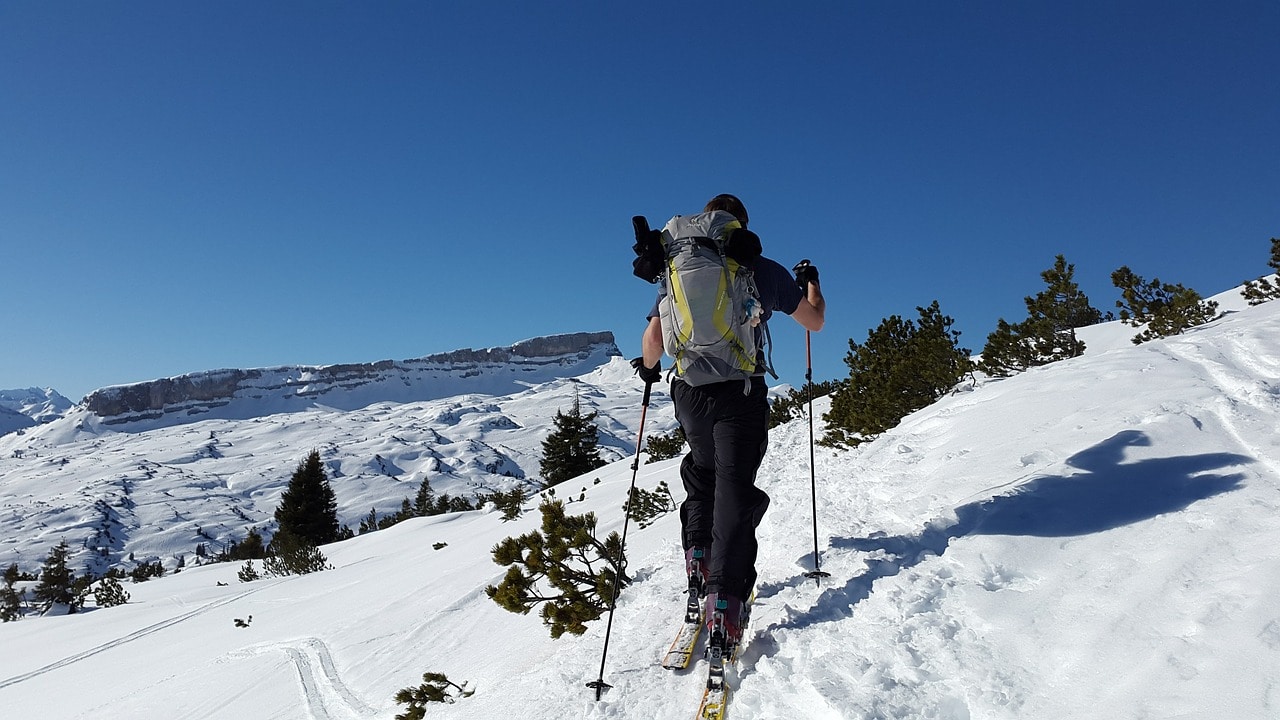 Rhodiola : une plante adaptogène incroyable, anti-fatigue, idéale pour les sportifs