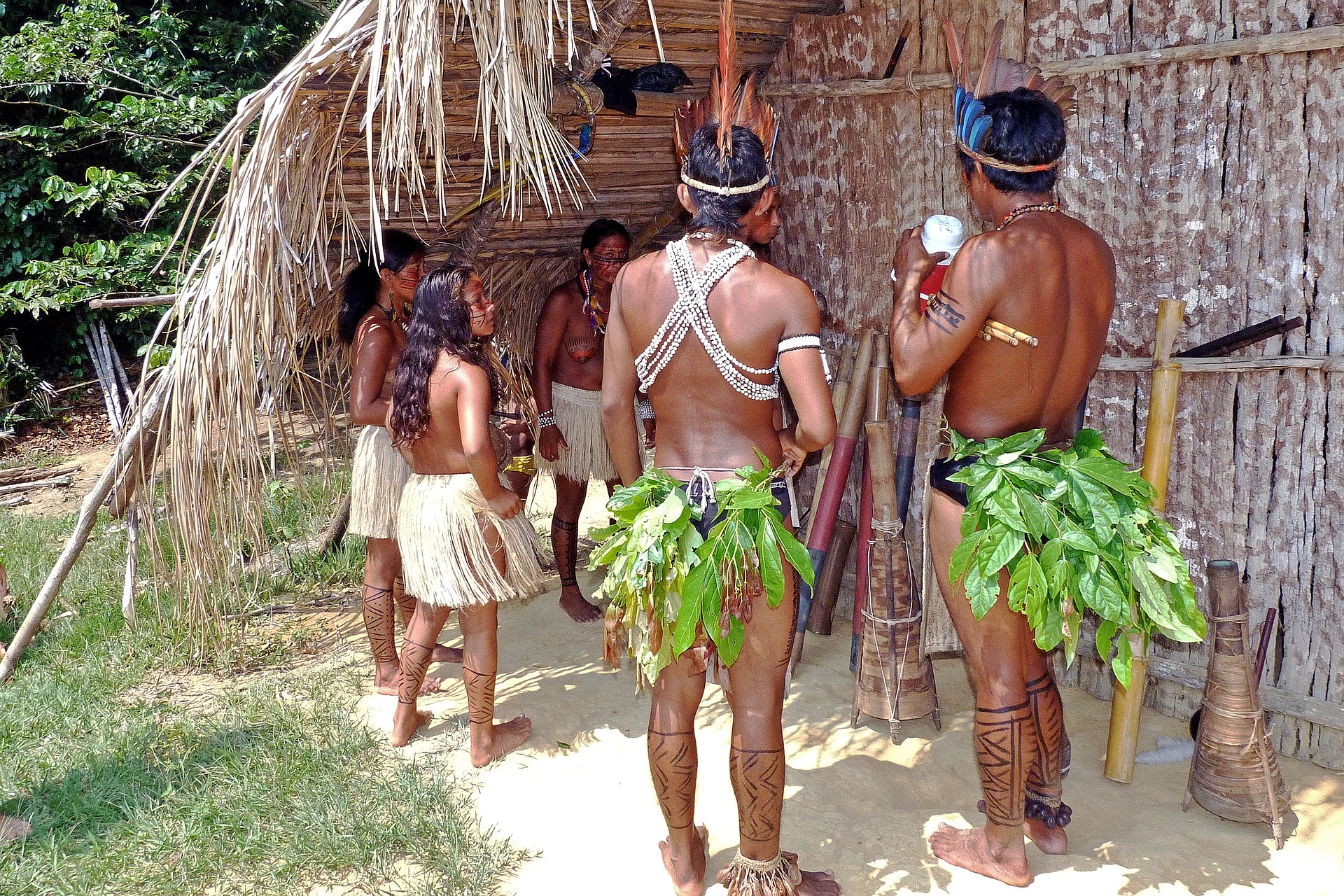 Le Lapacho serait-il la panacée des indiens d’Amazonie ?