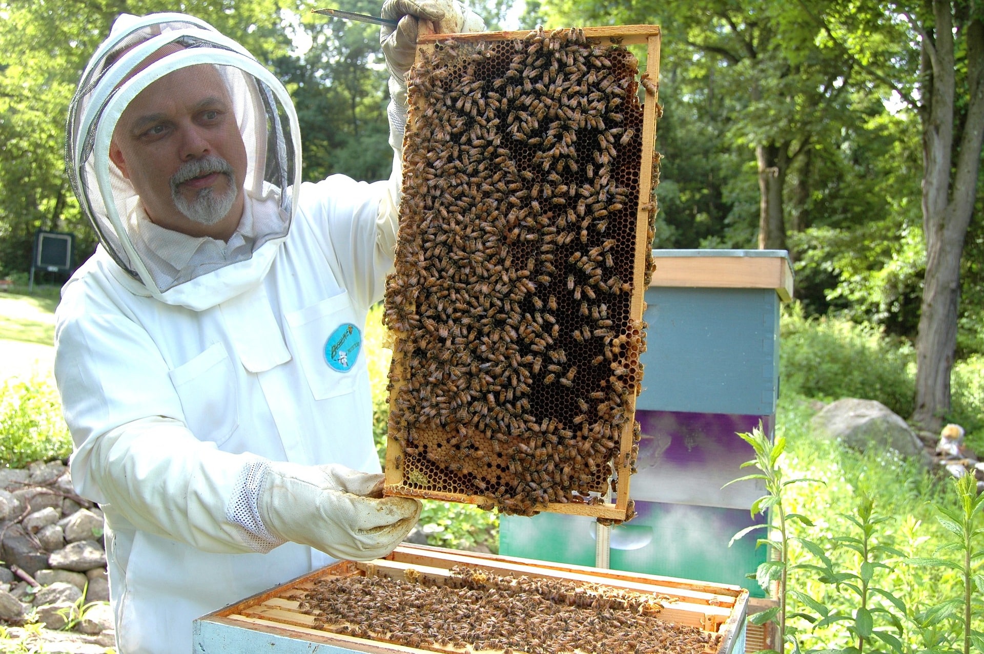 LA PROPOLIS légitimée par la science pour ses vertus exceptionnelles…